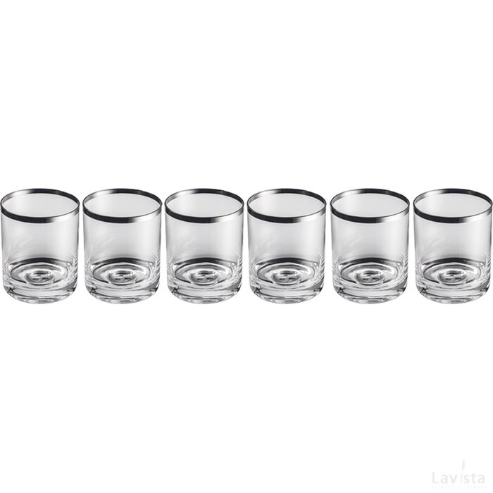 Set 6 whiskyglazen Tauber transparant
