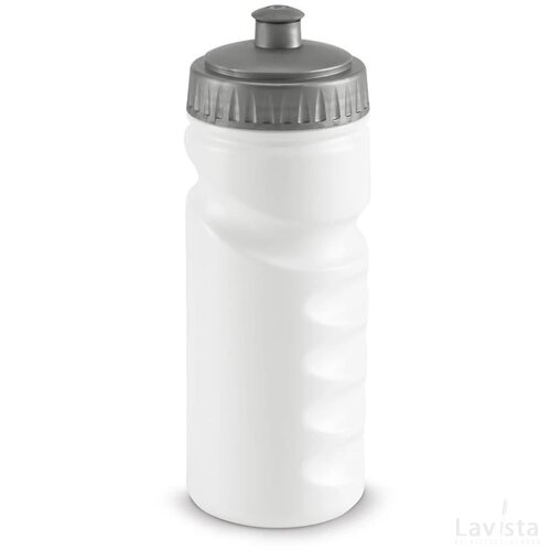 Lowry Bidon 530 Ml Satijn Zilver