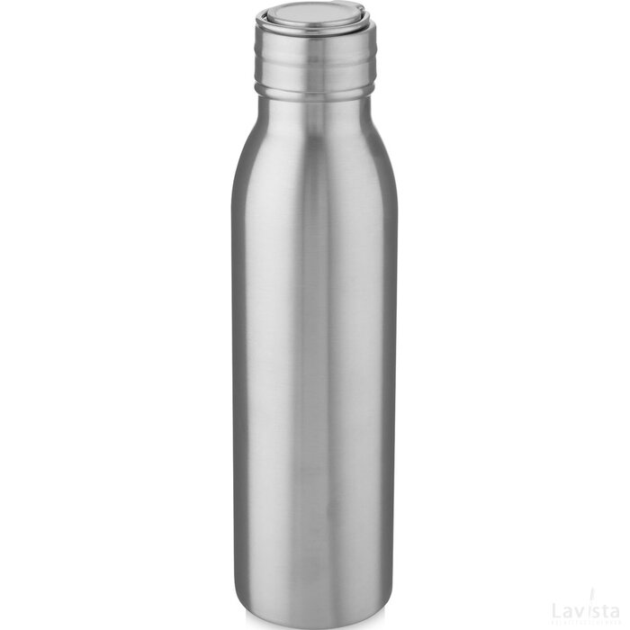 Harper 700 ml roestvrijstalen drinkfles met metalen lus Zilver