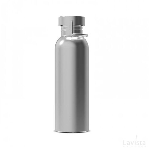 Waterfles Skyler 750ml zilver