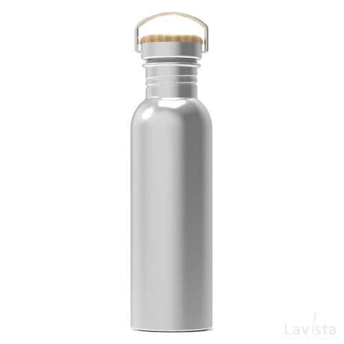 Waterfles Ashton 750ml zilver