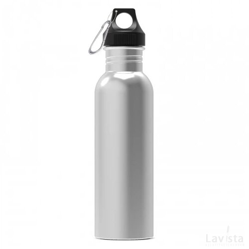 Waterfles Lennox 750ml zilver