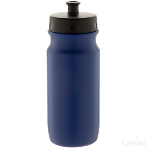 Palmares Sport Fles Blauw