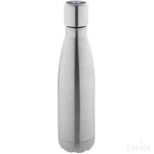 Reverest Geïsoleerde Fles Zilver