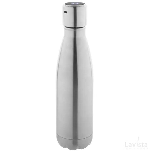Reverest Geïsoleerde Fles Zilver