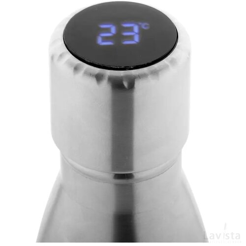 Reverest Geïsoleerde Fles Zilver