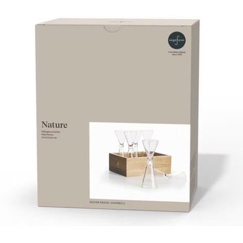 Sagaform 6-delige schnaps set transparant